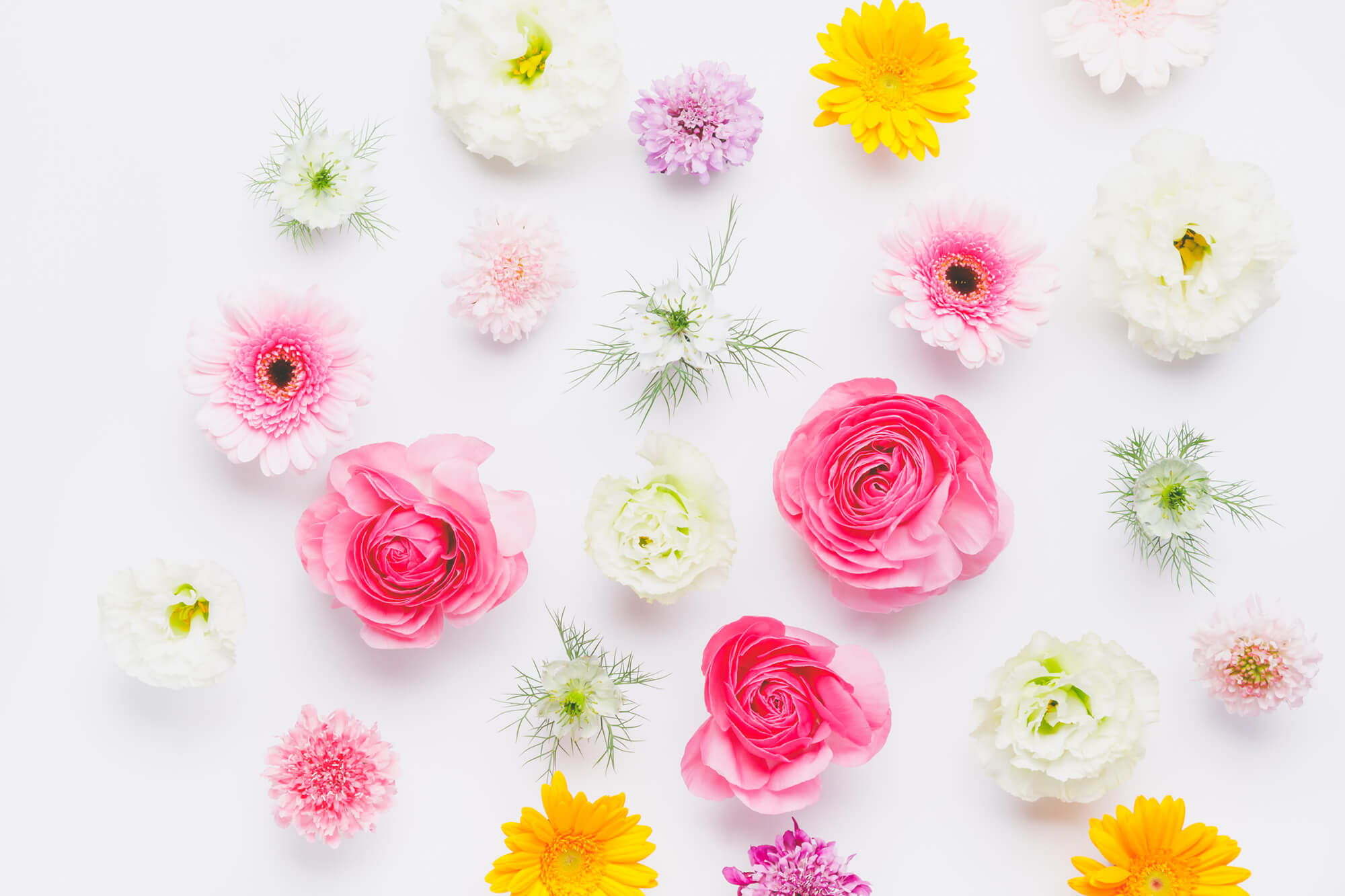 ハウスパートナー　お花邸